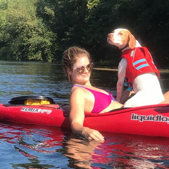 Meet your Posher, Sadie - Picture 1 of 1